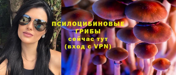 тгк Абдулино