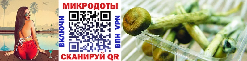 Псилоцибиновые грибы Psilocybe  Ханты-Мансийск 